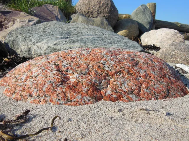 Granite Beige 220 image